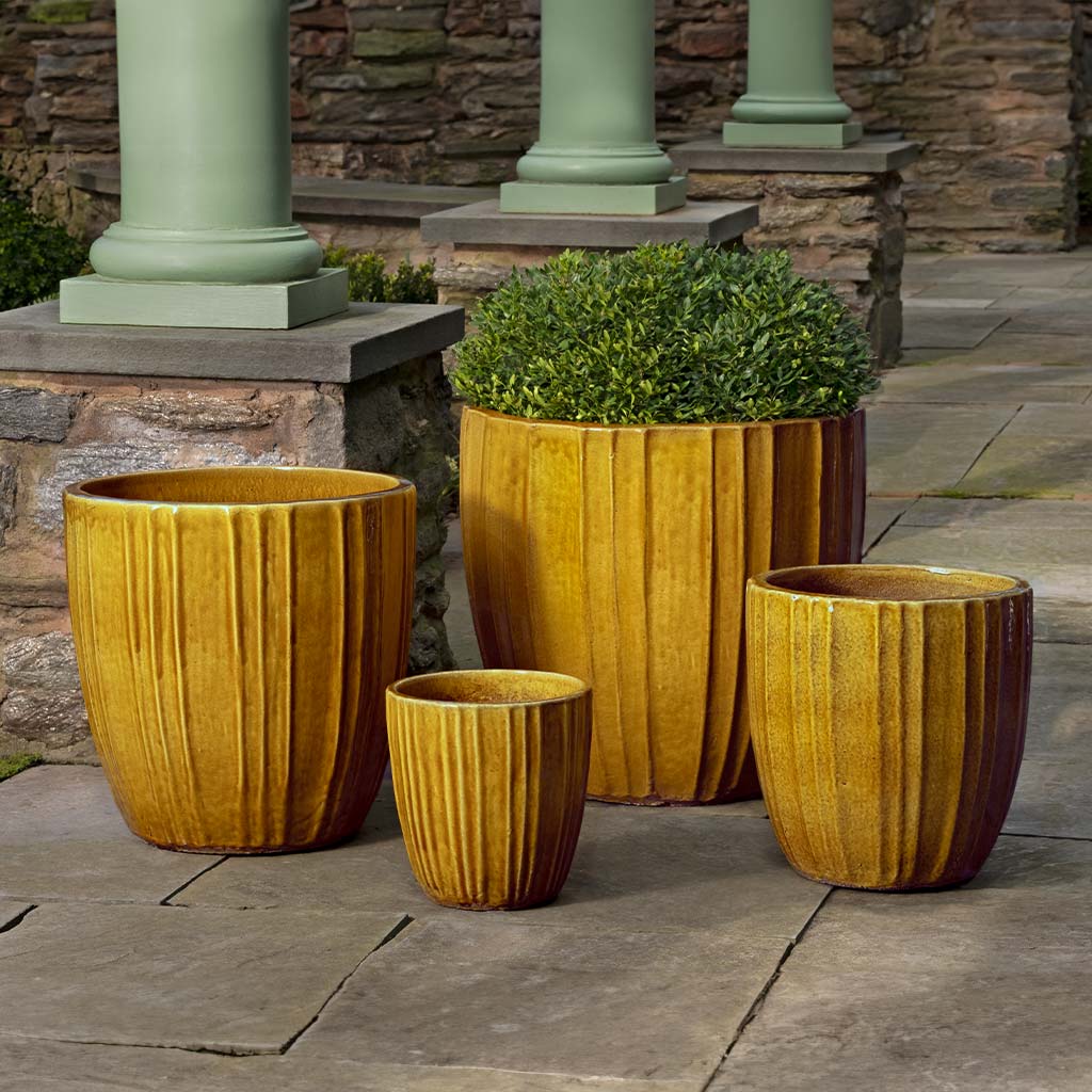Campania Dunes Planter  Honey