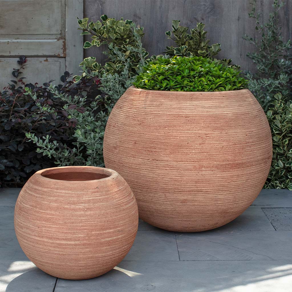 Allium Planter - Brown Terra Cotta - S/2
