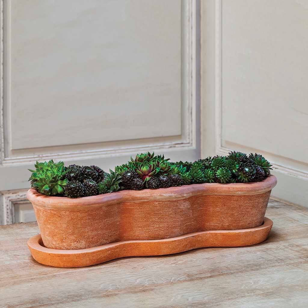 Campania Costa Planter - Terra Nova - Set of 3