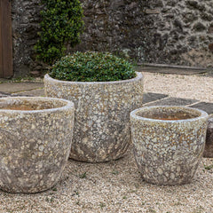Campania Caipirinha Planter Set of 3