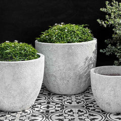 Campania Caipirinha Planter Set of 3