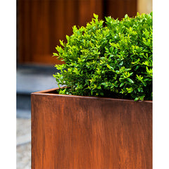 Campania Steel Tall Cube Planter - Steel - Set of 2