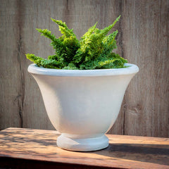 Campania Jacqueline Urn  Antique White