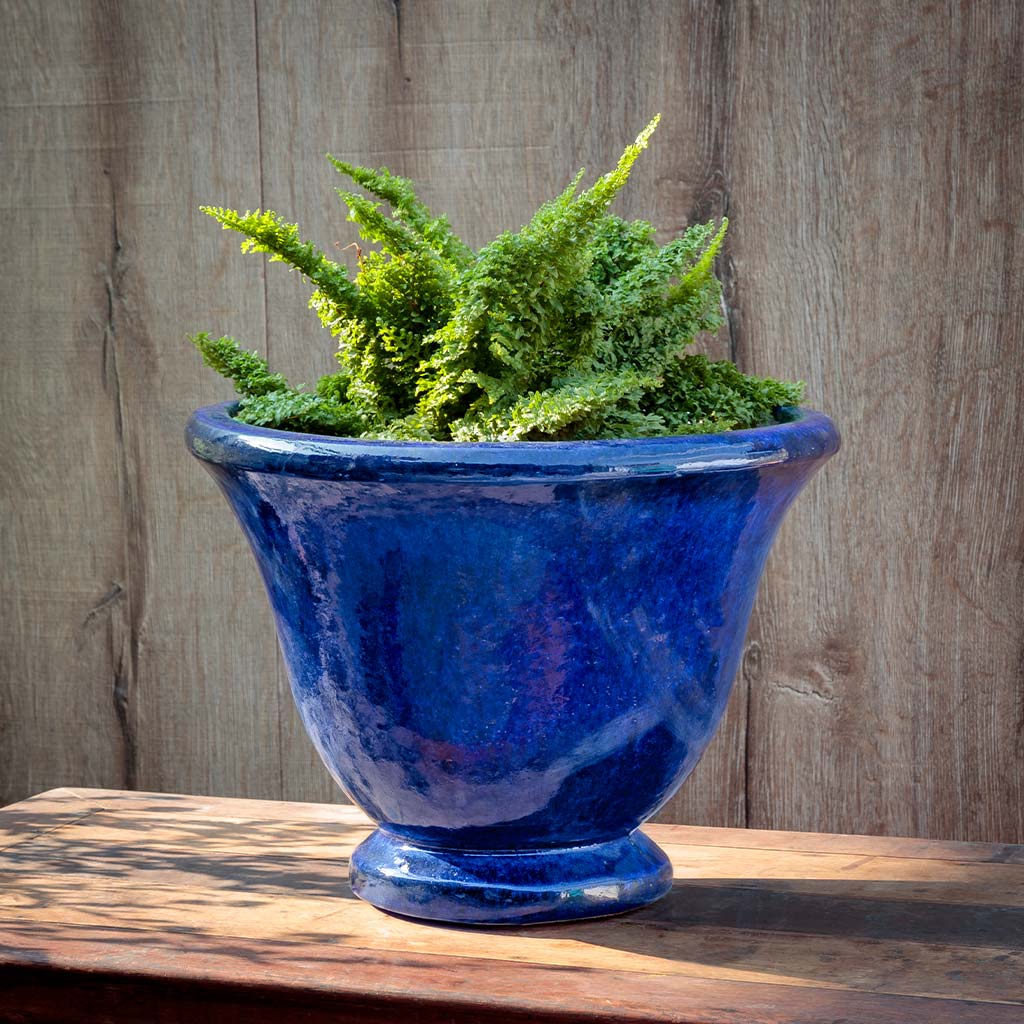 Campania Jacqueline Urn  Riviera Blue
