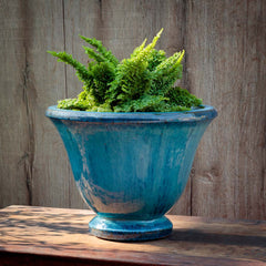 Campania Jacqueline Urn  Mediterranean