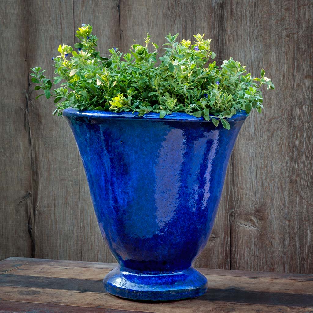 Campania Caterine Urn  Riviera Blue
