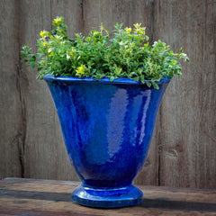 Campania Caterine Urn  Bronze
