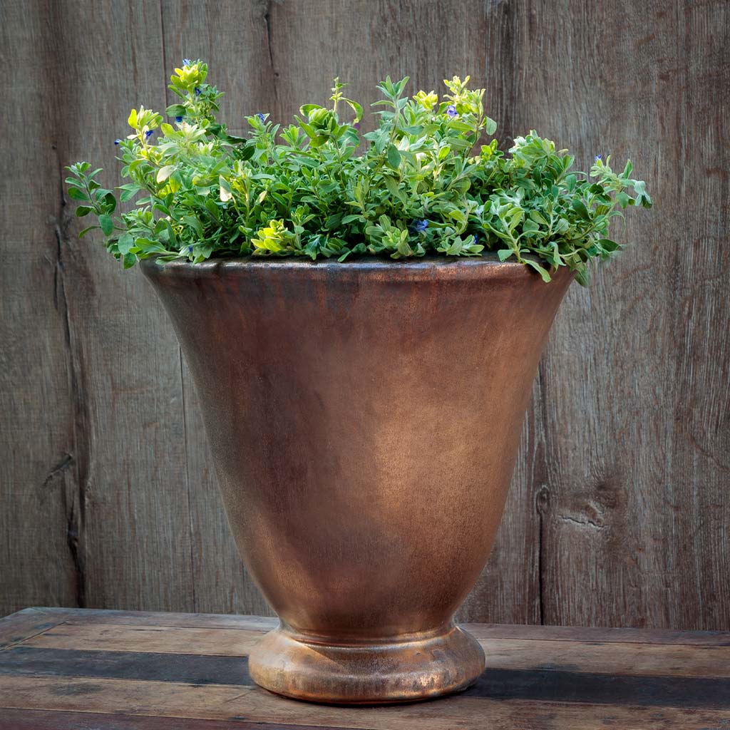 Campania Caterine Urn  Antique White