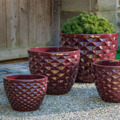 Campania Honeycomb Planter, Tall  Maple Red