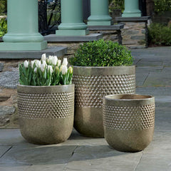 Campania Banded Coin Pot  Pine