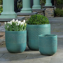 Campania Banded Coin Pot  Pine