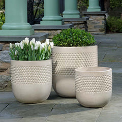 Campania Banded Coin Pot  Pine