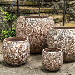 Campania Sand Dollar Planter Set of 4