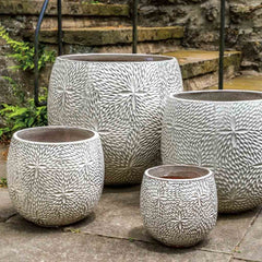 Campania Sand Dollar Planter Set of 4