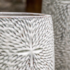 Sand Dollar Planter - Tropic Red - S/4