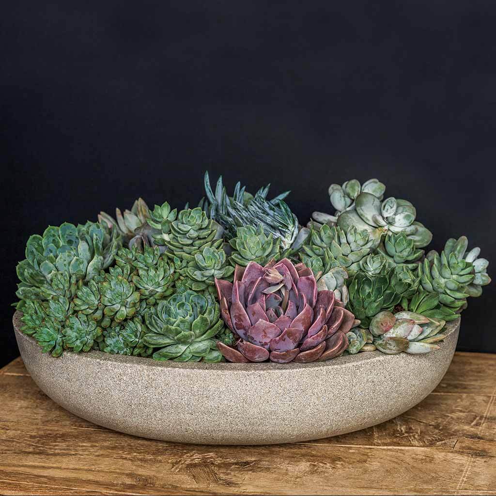 Campania Playa Large Bowls - Set of 4