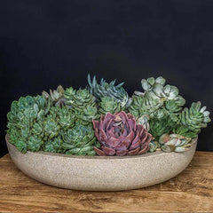 Campania Playa Large Bowls - Set of 4