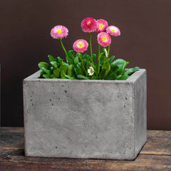 Campania Geo Cylinder Planter - Fiber Cement - Set of 4