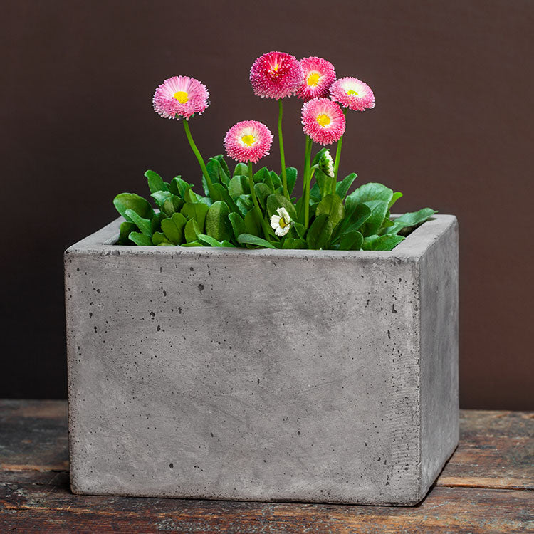 Campania Geo Cylinder Planter - Fiber Cement - Set of 4