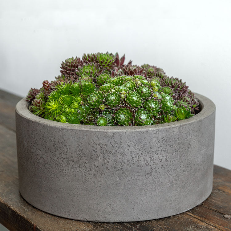 Campania Geo Cylinder Planter - Fiber Cement - Set of 4