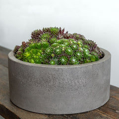 Campania Geo Cylinder Planter - Fiber Cement - Set of 4