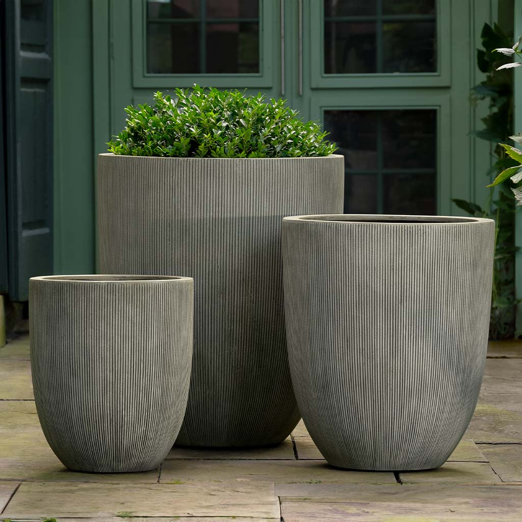 Campania Arago Planter