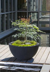 Photo of Campania Piccadilly Planters - Marquis Gardens
