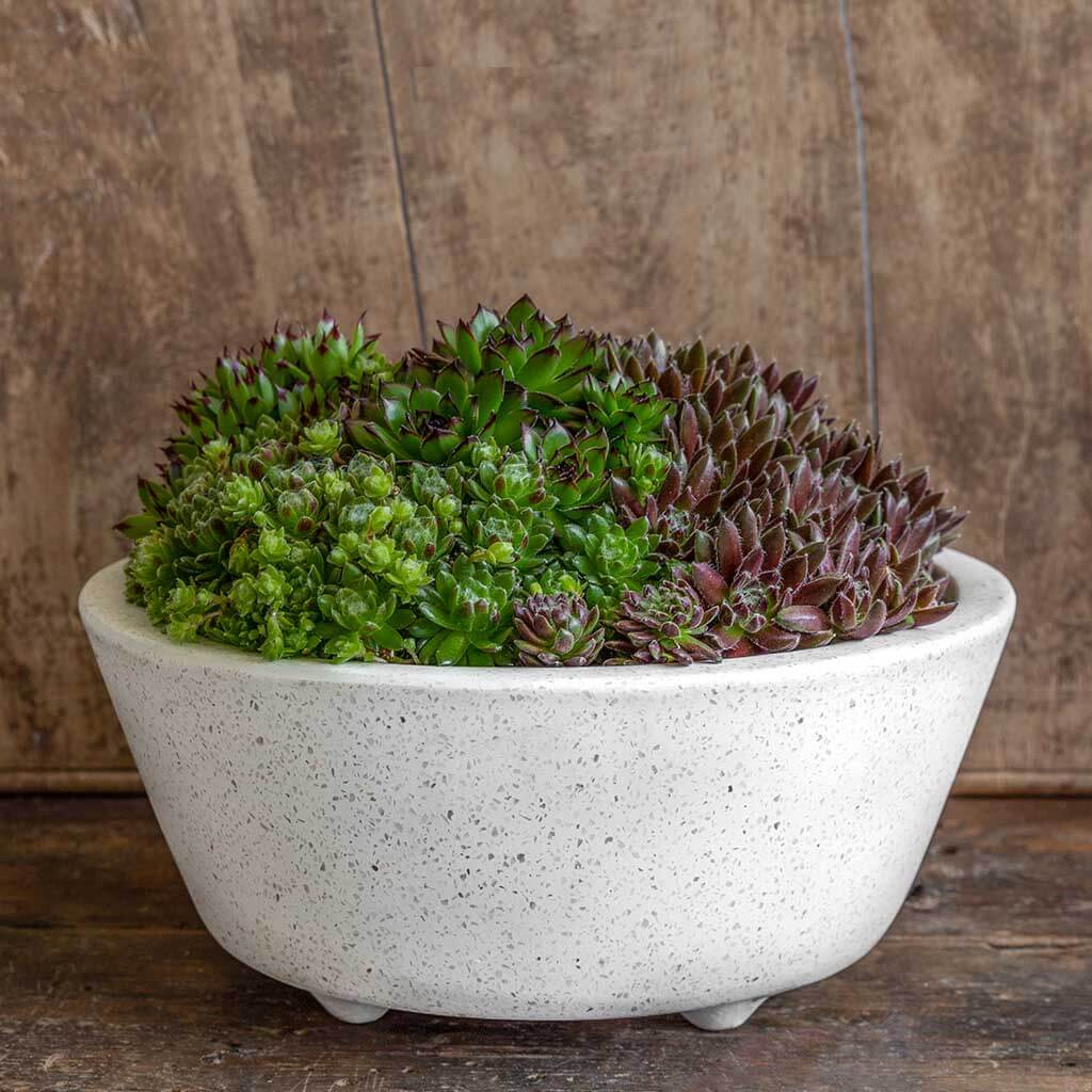 Campania Geo Round Footed Planter - Set of 4