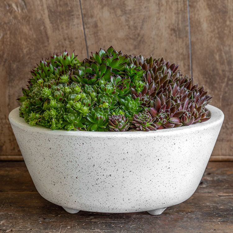 Photo of Campania Geo Round Footed Planter - Set of 4 - Marquis Gardens