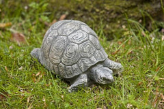 Campania Turtle Small