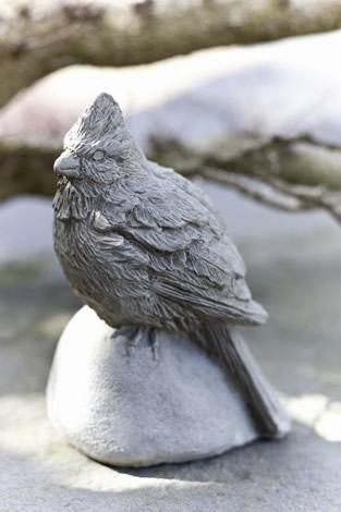 Photo of Campania Cardinal - Marquis Gardens