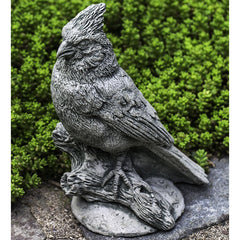 Photo of Campania Northern Cardinal - Marquis Gardens