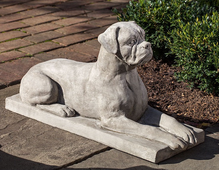 Photo of Campania Boxer - Marquis Gardens