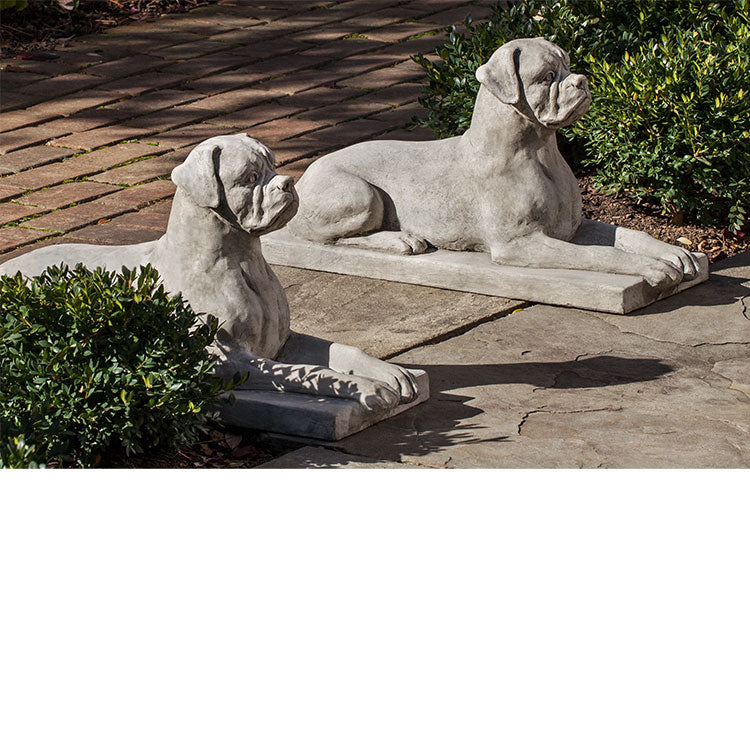 Photo of Campania Boxer - Marquis Gardens