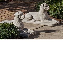 Photo of Campania Boxer - Marquis Gardens