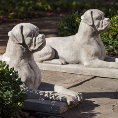 Photo of Campania Boxer - Marquis Gardens