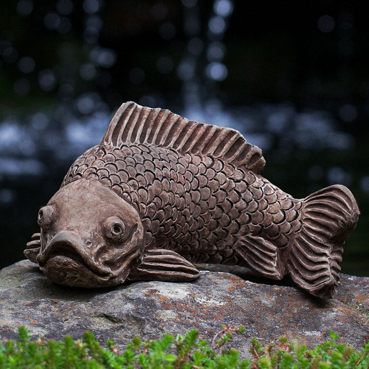 Photo of Campania Large Koi - Marquis Gardens