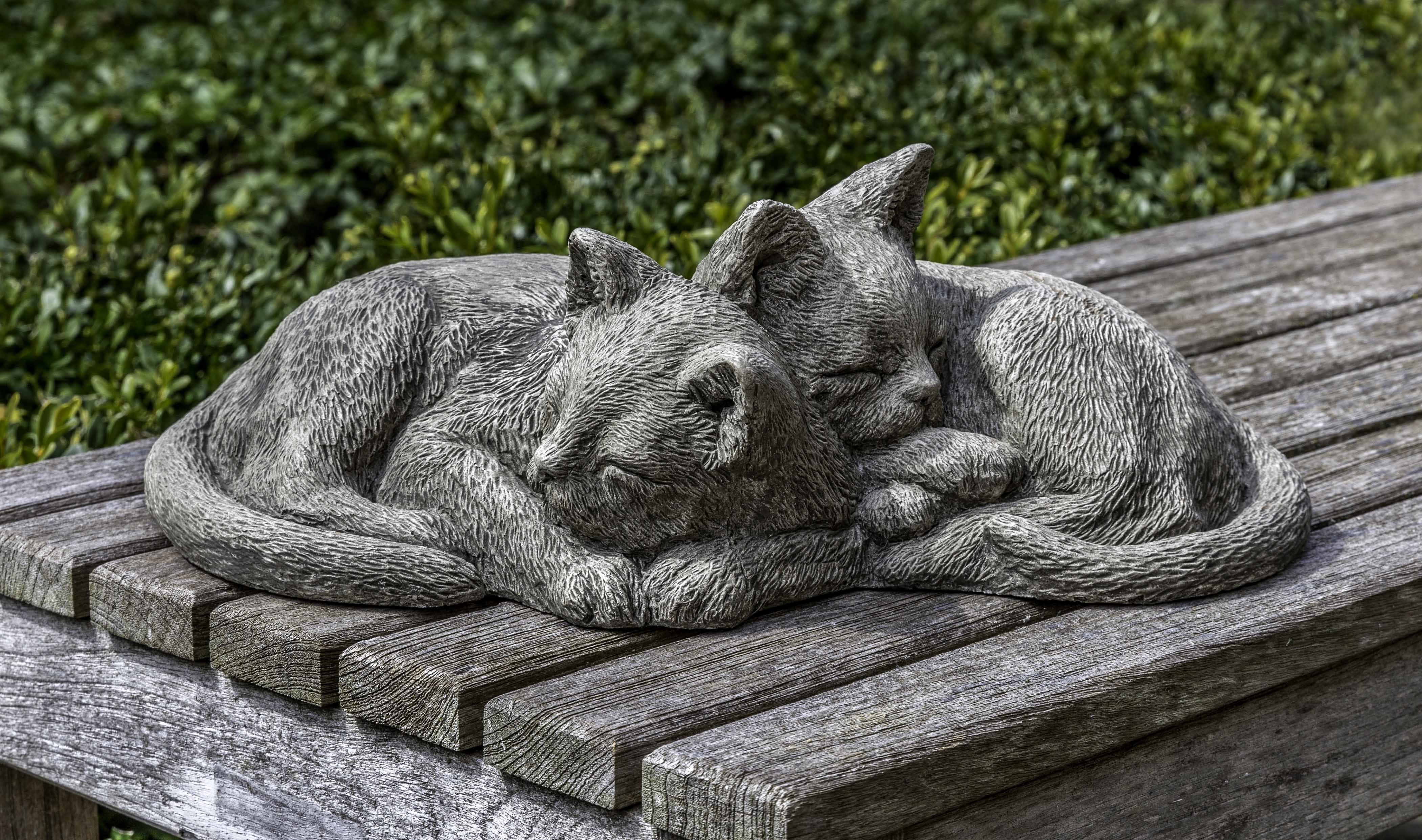 Photo of Campania Nap Time Kittens - Marquis Gardens