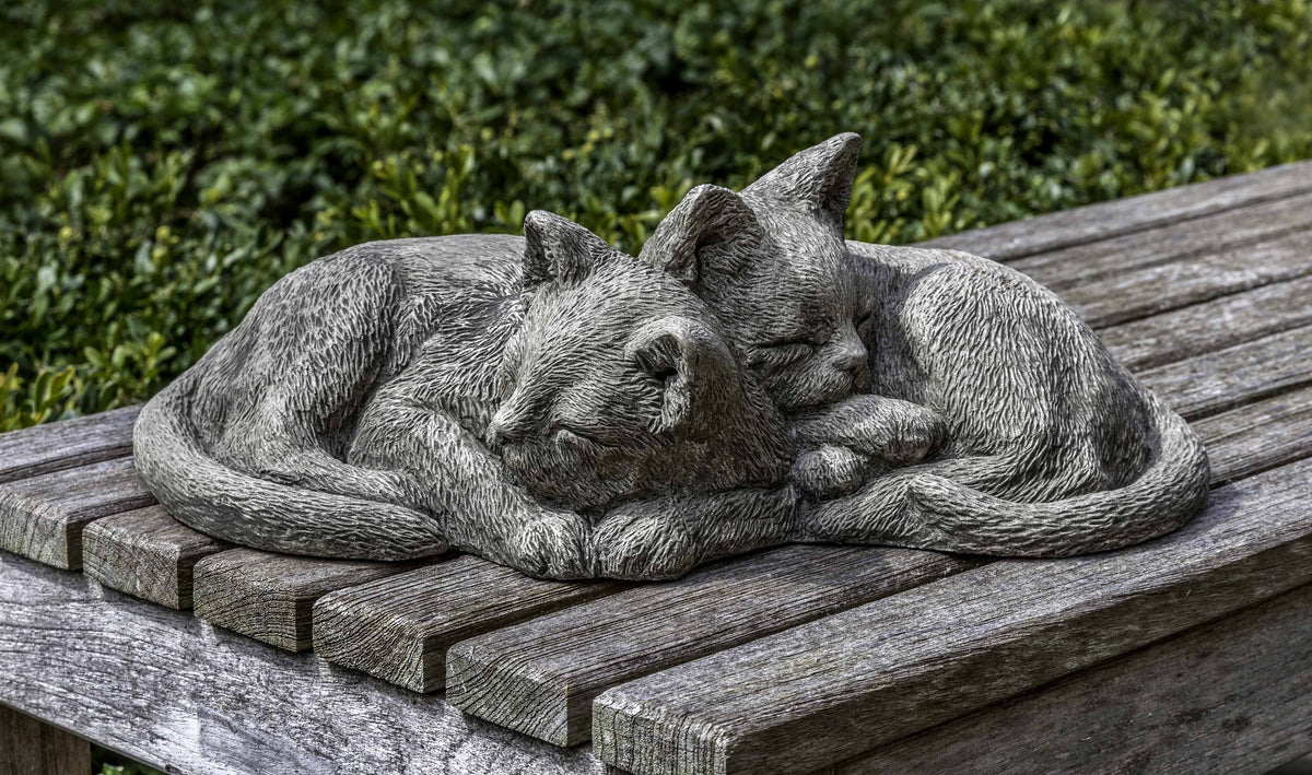Photo of Campania Nap Time Kittens - Marquis Gardens