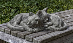 Photo of Campania Nap Time Kittens - Marquis Gardens