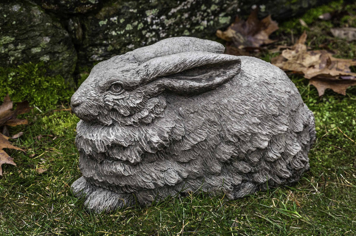 Photo of Campania Flemish Hare - Marquis Gardens