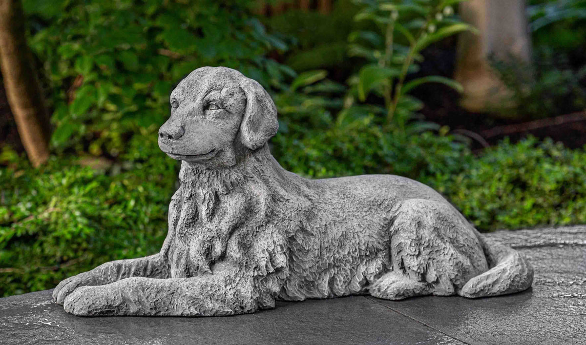 Campania Small Retriever