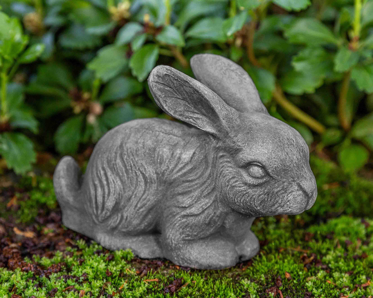 Photo of Campania Bunny - Marquis Gardens
