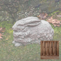 Campania Flemish Hare