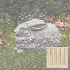 Campania Flemish Hare