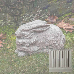 Campania Flemish Hare