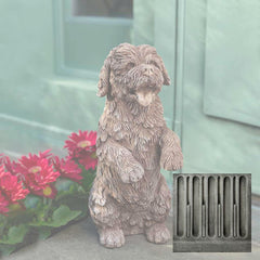 Campania Cooper
