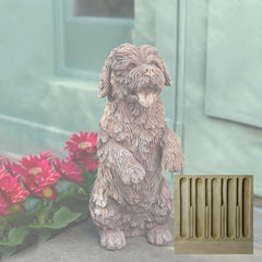 Campania Cooper
