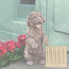 Campania Cooper