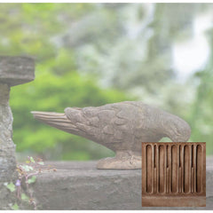 Campania French Dove